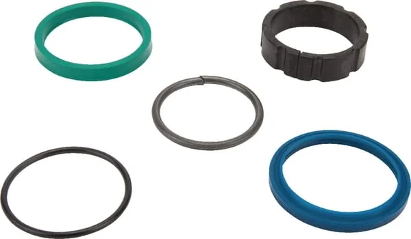 AGCO - 163345 - Seal Kit Fella