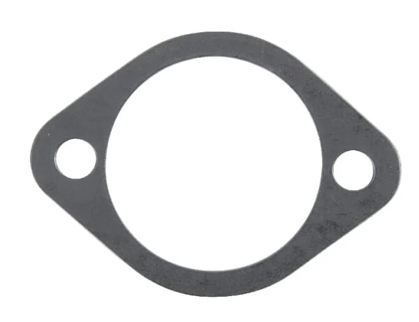 AGCO - F199201310020 - Camshaft Cover Gasket
