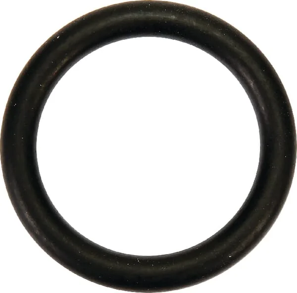 AGCO - V614602950 - Water Pump O-Ring