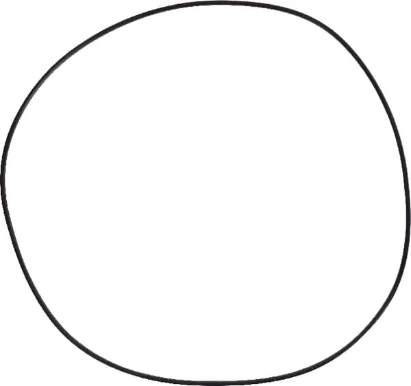 AGCO - X540009478000 - Sealing Washer