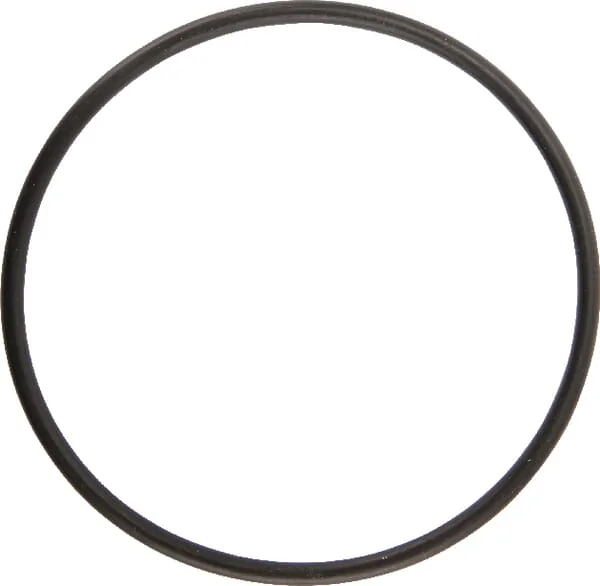 Agria - AGW02158 - O-Ring Seal Ring 80x3.5