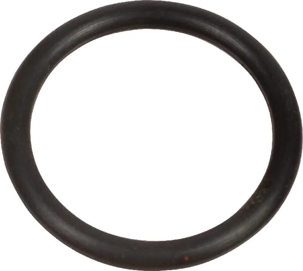 Agria - AGW39350 - O-Ring Seal Ring 20x2.5