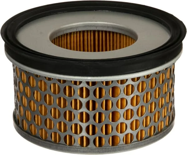 Agria - AGW419011 - Air Filter Insert
