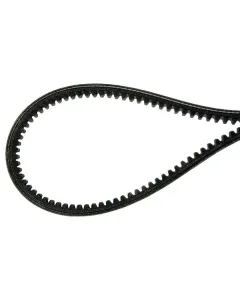 Agria - AGW48175 - V-Belt