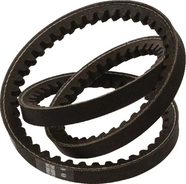 Agria - AGW66749 - V-Belt