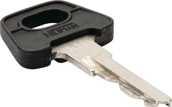 Agria - AGW67077 - Ignition Key