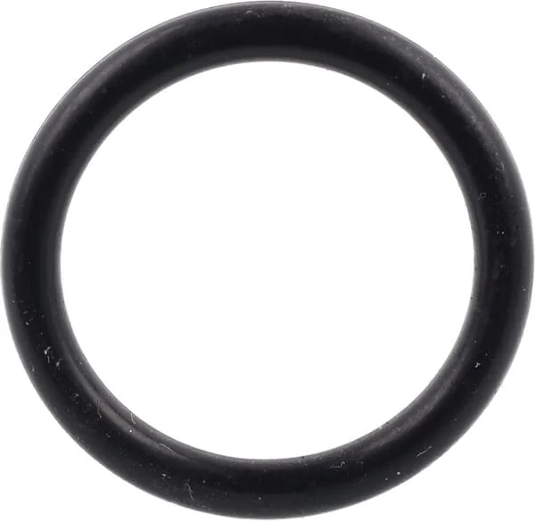 Agria - AGW73661 - O-Ring Seal Ring