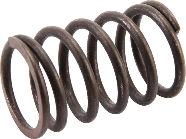 AL KO - AK455244 - Valve Spring