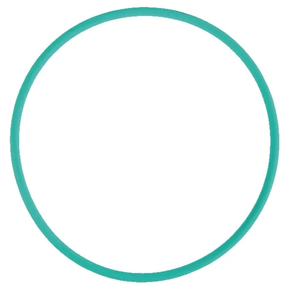 Amazone - 0192610 - O-ring 95 x 3.5 Viton Amazone