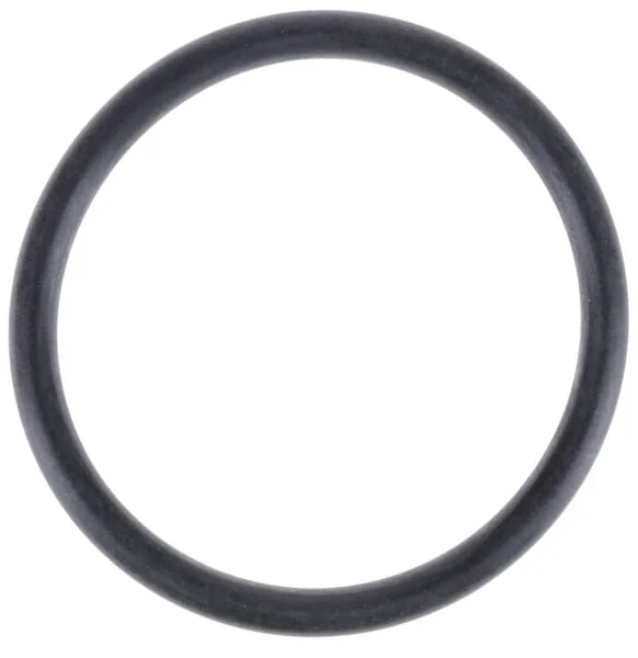 Amazone - FC172 - Seal Ring 55.52x5.33 FKM 70