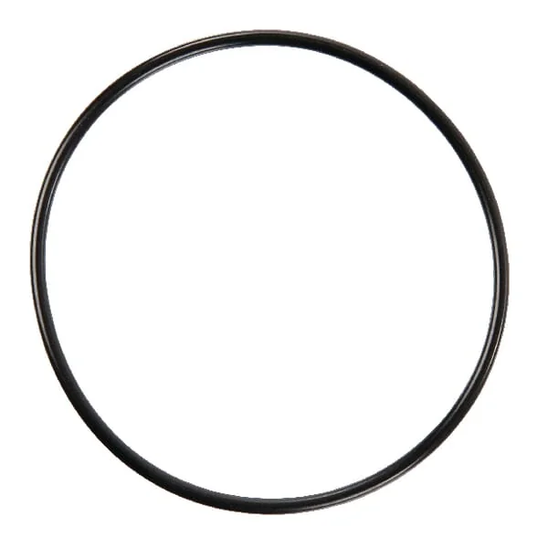 Amazone - FC184 - Seal Ring 80x3