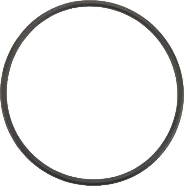 Arag - 333000050 - O-Ring 133.4x5.34mm 70 Shore Black