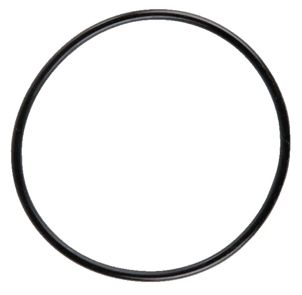 Arag - 454237090V - O-Ring For Suction Filter