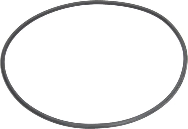 Arag - G11069 - Seal 202.87x2.62mm 70 Shore Black
