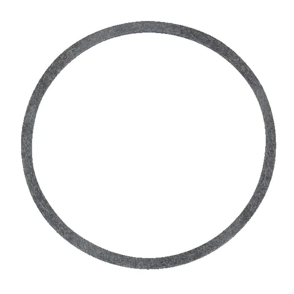 AS Motor - E01206ASM - Seal