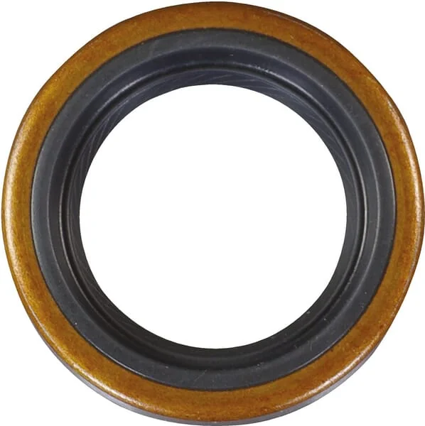 AS Motor - E03107ASM - Oil Seal 25x37x7