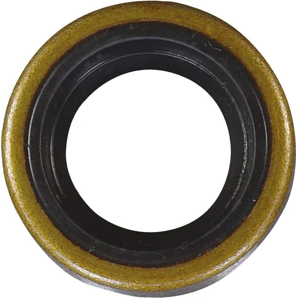 AS Motor - E03109ASM - Oil Seal 15x24x7