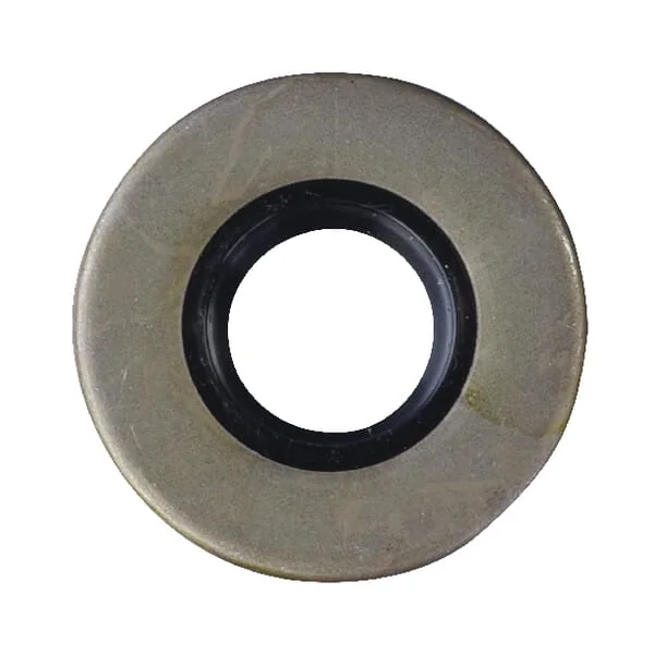 AS Motor - E03345ASM - Oil Seal 20x47x7