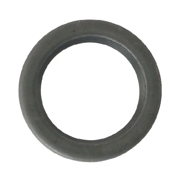 AS Motor - E04317ASM - Oil Seal 15x21x3