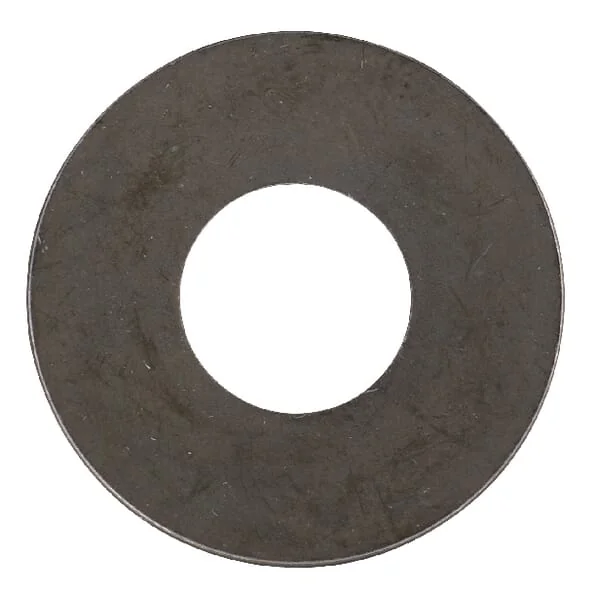 AS Motor - E05365ASM - Spring Washer