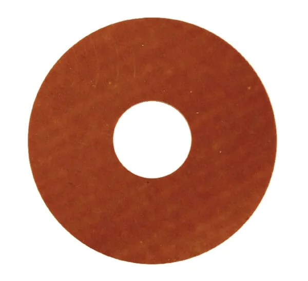 AS Motor - E05737ASM - Slip Disc
