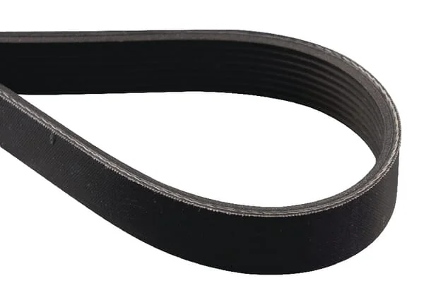 As Motor - E05770ASM - Rib Belt 8PJ 914LP