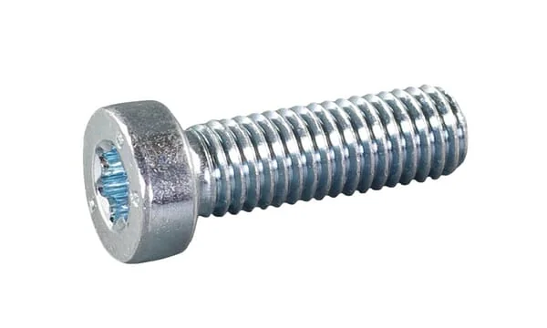 AS Motor - E05833ASM - Cylinder Screw M8x25