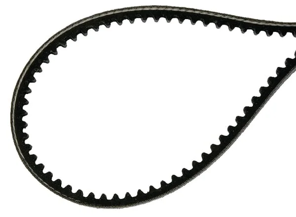 AS Motor - E08876ASM - V-Belt