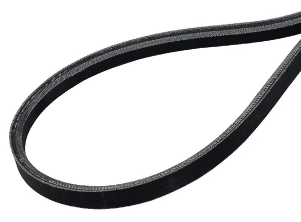 AS Motor - E10266ASM - V-Belt