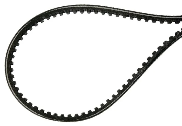 AS Motor - E11800ASM - V-Belt