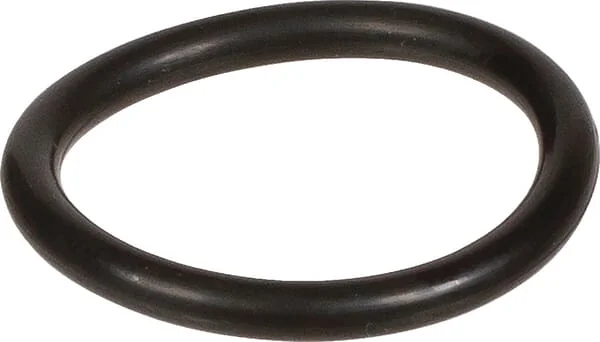 Bertolini - 803195002 - O-Ring 20.29x2.62mm 70 Shore EPDM Black Bertolini