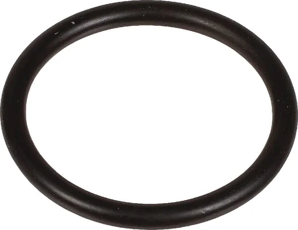 Bertolini - 803204002 - O-Ring 23.8x2.62mm 70 Shore EPDM Black Bertolini