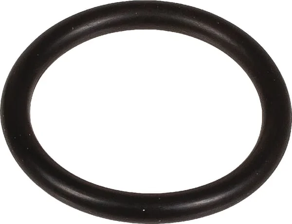 Bertolini - 803218002 - Sealing Ring 22x3 mm 70 Shore EPDM Black Bertolini