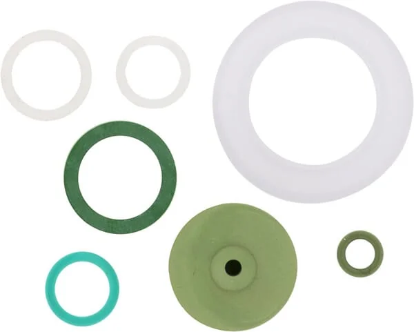 Birchmeier - 11390201SBBIR - Gasket Set