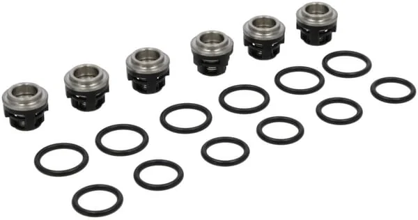 Briggs and Stratton - 193955GS - Kit-Check Valve