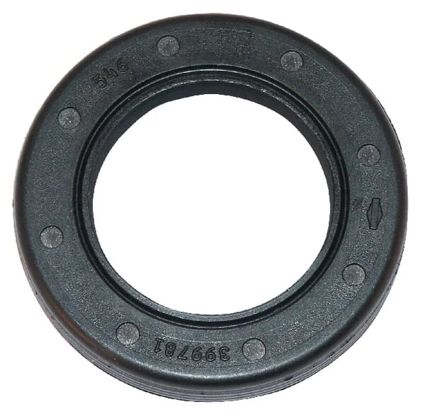 Briggs and Stratton - 399781S - Oil Seal