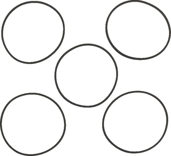 Briggs and Stratton - 4202WM - Gasket (5 x 281165S)