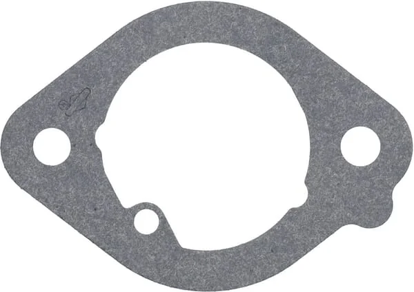 Briggs and Stratton - 594203WM - Gasket-Intake