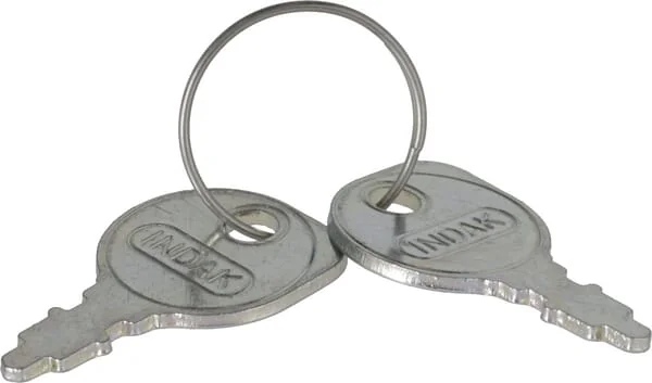 Briggs and Stratton - 7011138YP - Ignition Key Pair