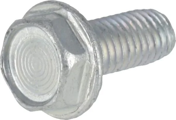 Briggs and Stratton - 793500WM - Screw