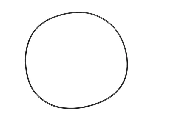 Carraro - CI028579 - Sealing Ring 253.59x3.53mm