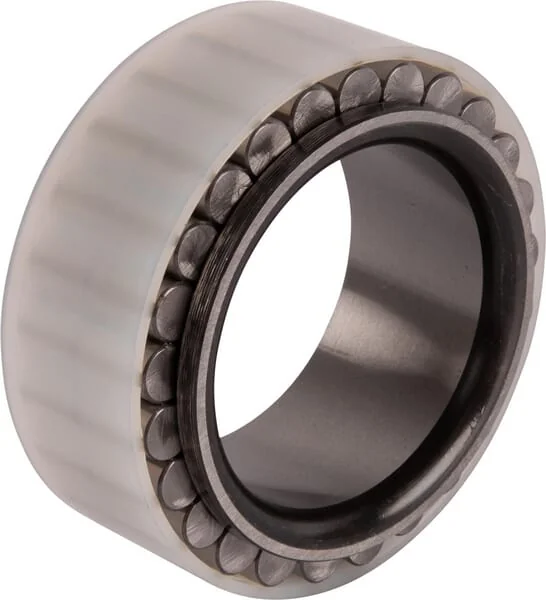 Carraro - CI141859 - Cylinder Roller Bearing