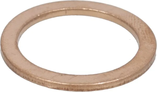Case IH - 10259960 - Sump Plug Seal Ring M18