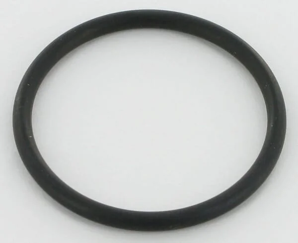Case IH - 3055389R2 - O-Ring For Fuel Pump