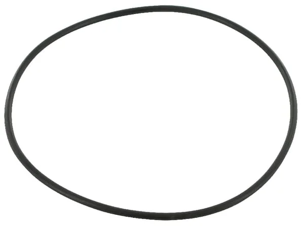 Case IH - 3057614R1 - O-Ring Lift Cylinder