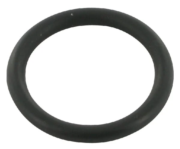 Case IH - 3058327R1 - O-Ring Hand Brake Shaft