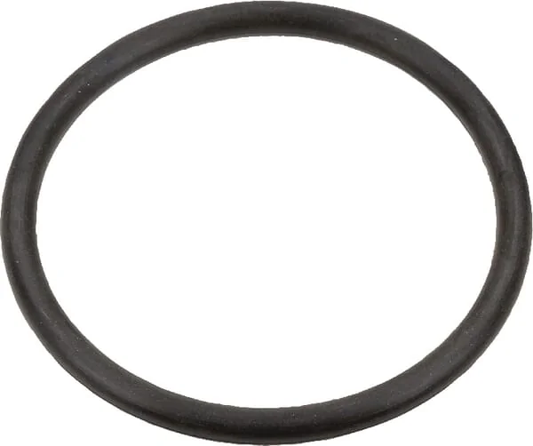 Case IH - 3131661R1 - O-Ring Case IH