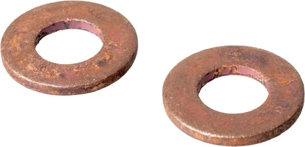 Case IH - 84246299 - Nozzle Sealing Ring