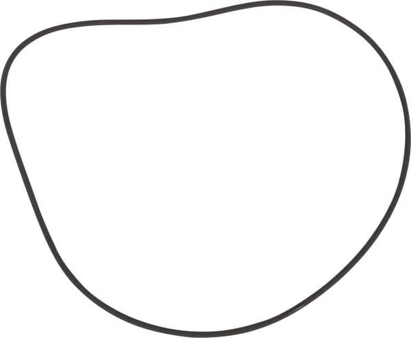 Claas - 7700047393 - Ring
