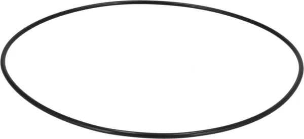 CNH - 190003120686 - O-Ring
